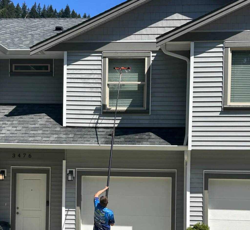 How Exterior Cleaning Services Remove Mold, Algae, and Mildew Safely